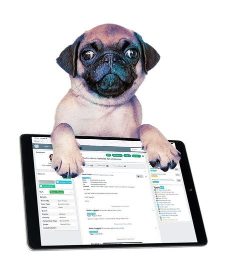 Get your paws on Dovetail new UI